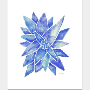 Blue Aloe Vera Posters and Art